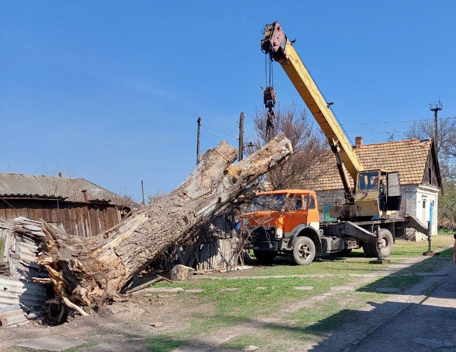 В Молочанске продолжаются весенние работы по благоустройству города.