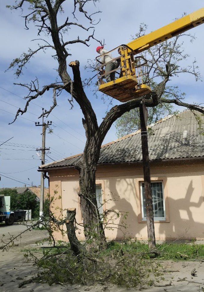 В рамках весенних работ  по благоустройству специалисты жилищно-коммунального хозяйства территориального отдела г. Молочанск  Токмакского муниципального округа проводят покос травы , обрезку сухостоя и сильнорослых веток по городу и в парковой зоне..