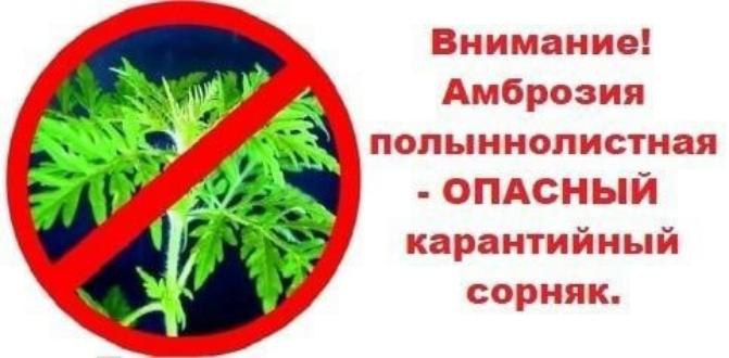 🔴 Администрация Токмакского муниципального округа обращается ко всем руководителям муниципальных предприятий, учреждений, ведомств и структур, к сельхозтоваропроизводителям, индивидуальным предпринимателям, а также к жителям  частного сектора Токмака, Мо.