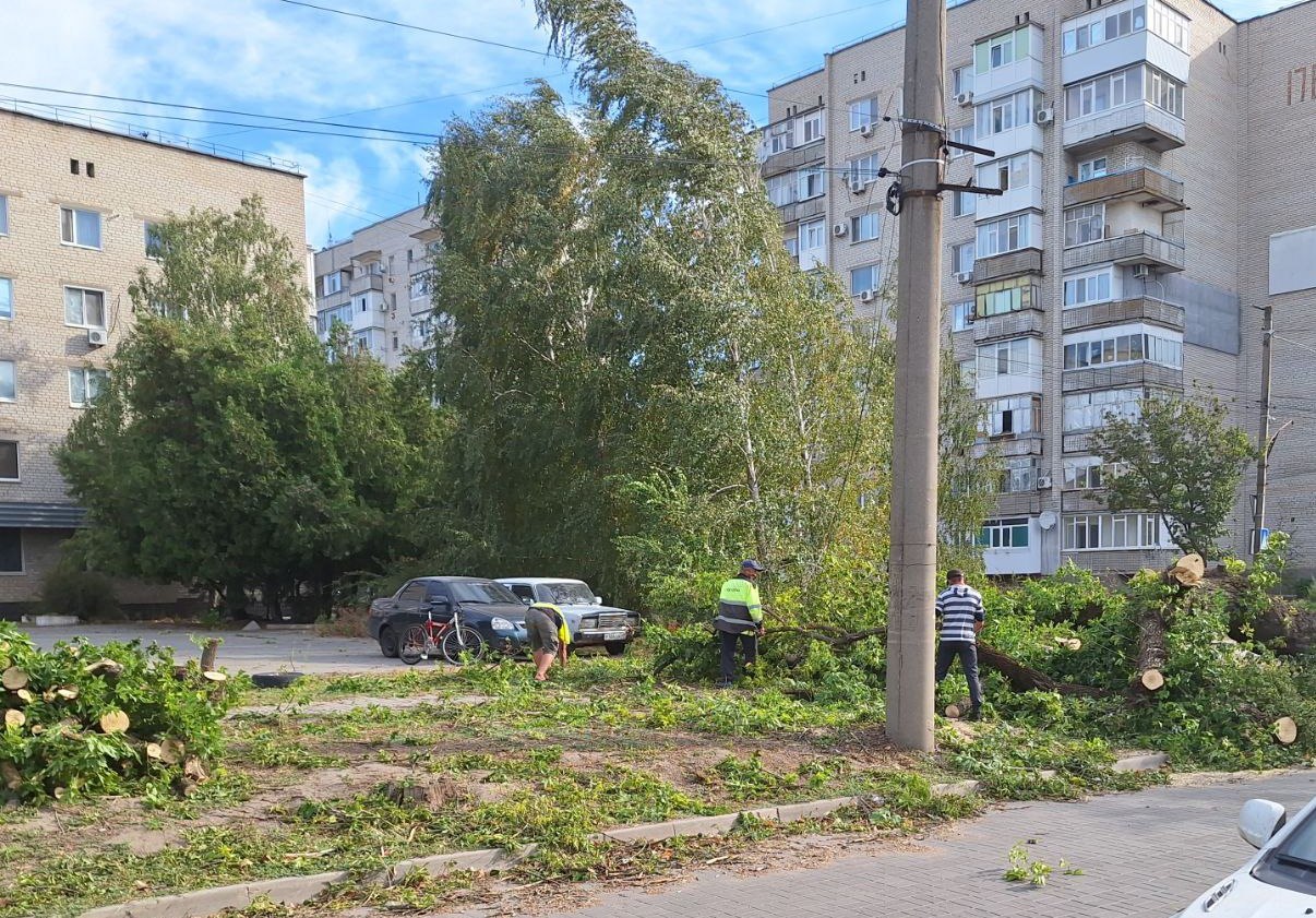 🔴 В Токмаке  работники коммунальных служб устраняют последствия шквалистого ветра.