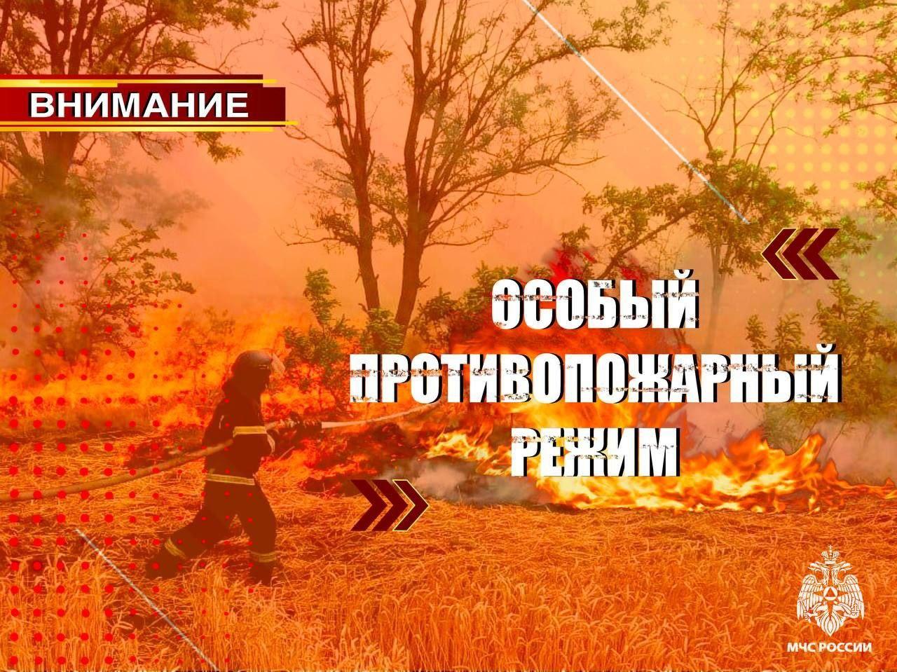 🔴 ВНИМАНИЕ! Особый противопожарный режим на территории Запорожской области!.