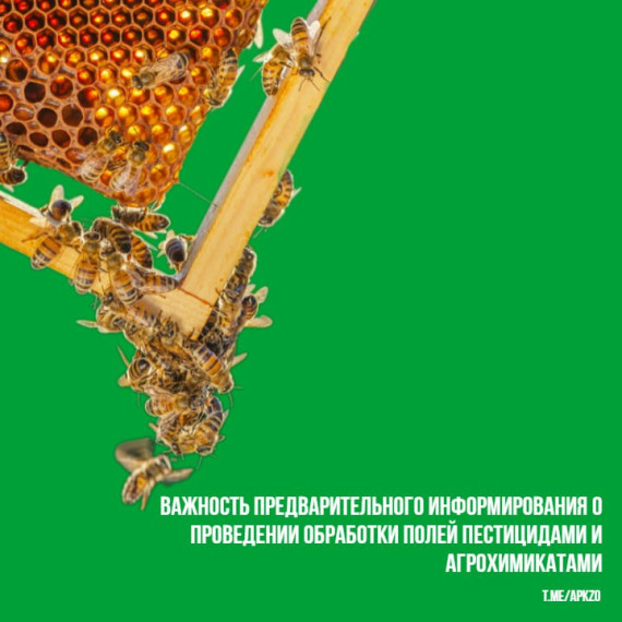 Министерство АПК Запорожской области напоминает о важности и обязательности предварительного информирования о проведении обработки полей пестицидами и агрохимикатами. Министерство АПК Запорожской области напоминает о важности и обязательности предварительного информирования о проведении обработки полей пестицидами и агрохимикатами.
