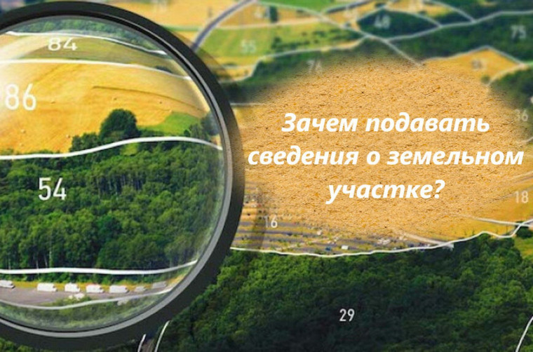 🔴 Зачем подавать сведения о земельном участке?. 🔴 Зачем подавать сведения о земельном участке?.
